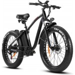 Clearance Sale Outdoor electric bike with 48V / 15Ah lithium battery	